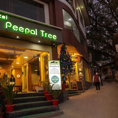 Hotel Peepal Tree Rishīkesh Exteriör bild